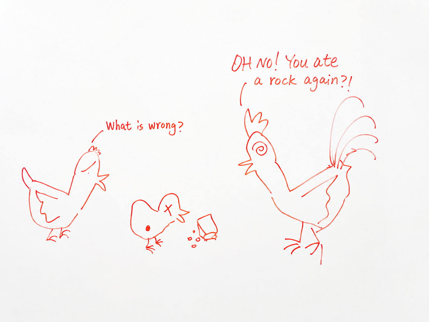 Aiden's original drawing of the chick eating a rock and the chicken family responding
